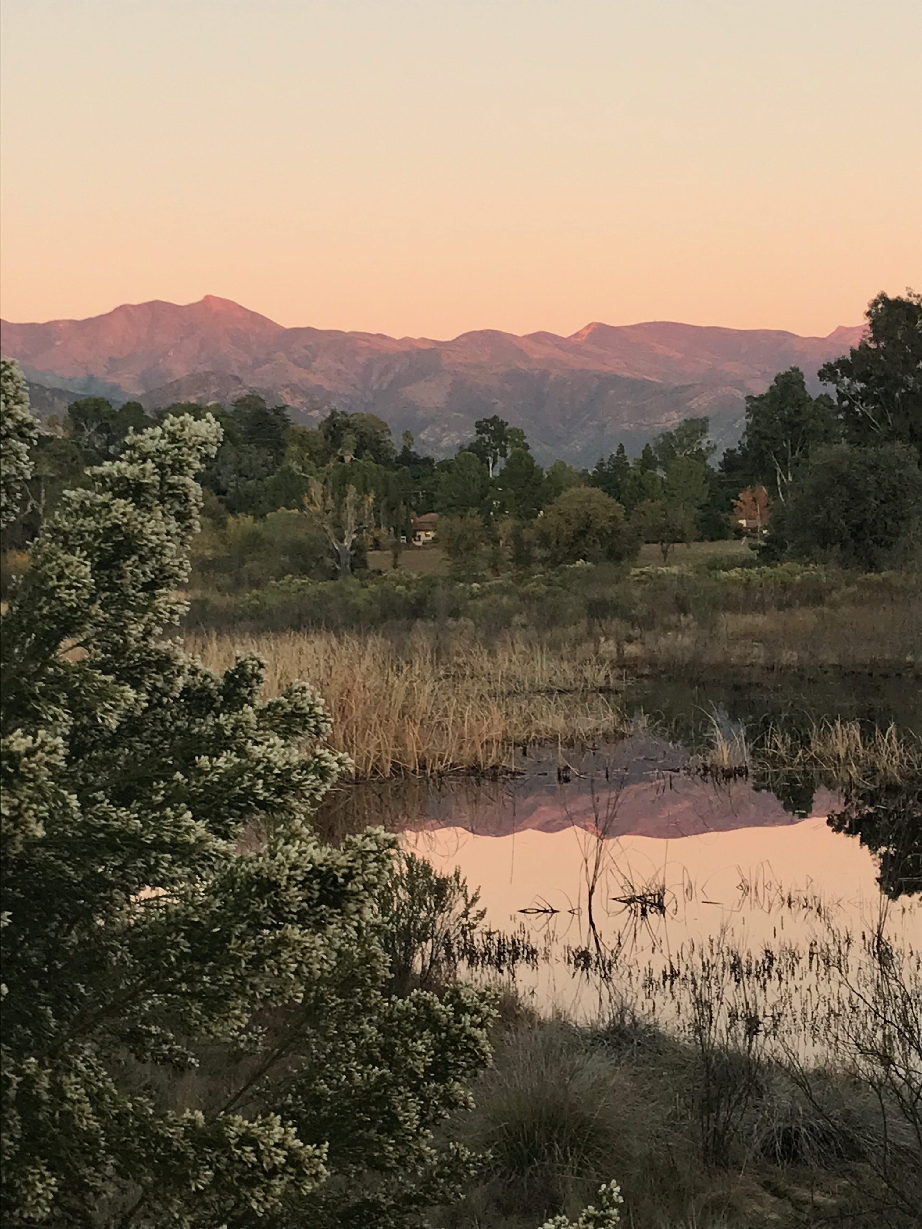 The pink moment on Chief Peak, from the Ojai Meadows Preserve.